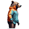 Bear with Hoodie
