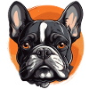 French Bulldog Portrait