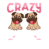 Crazy Pug Lady - Mops