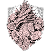 Dragon in the shield