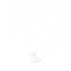 biarritz cote basque