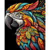 Parrot Macaw