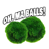 Moss Balls