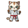 Karaté Chat