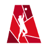 Volleyball player net