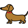 Kleiner Dackel