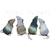 Ratten - Bildet Banden