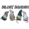 Ratten - Bildet Banden