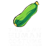 Courgette