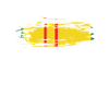 U.S. Army Vietnam Veteran