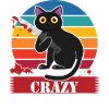 Crazy Cat Lady