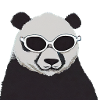 Cool Panda