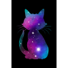 Galaxy Cat Poster