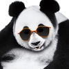 Panda hanging