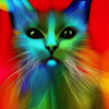 Freaky Cat