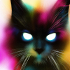 Creepy Cat