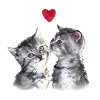 CHATONS AMOUREUX 💘