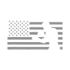 American Flag Boxer, Boxing