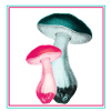 Mushrooms