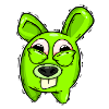 Hasi