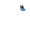 Cochon avec papillon