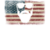 Beard Lover Bearded Man American