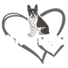Boston Terrier Heart