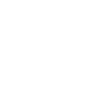 Boston Terrier Definition