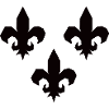 Fleurs de lys