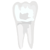 Dentistry Dentistry Dentist