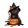Halloween black Cat