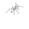 ant, crawling insects, social animals