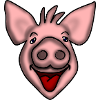 Smiling piglet