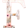 Personalisierbar Monogramm F Blumenmuster