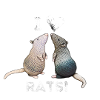 Ratten - J’aime les rats