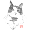 Katze