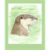 231003 Otter 3