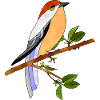 Bunter Vogel