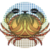 Crab