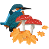 Kingfisher, Autumn, Bird, Birdwatcher, Halloween