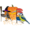 Robin Blue Autumn Bird Halloween