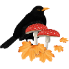 Blackbird Autumn Bird Birdwatcher Halloween
