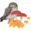 Owl Autumn Bird Watcher Halloween Spooky