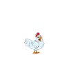 Funny Chicken Saying Chicken