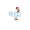 Funny Chicken Saying Chicken