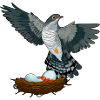Cuckoo Surprise Egg