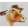 Cool Moo