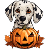 Sweet Halloween Dalmatian