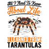 Tarantula Gift Spider Tarantula