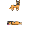 Schlafhund 2